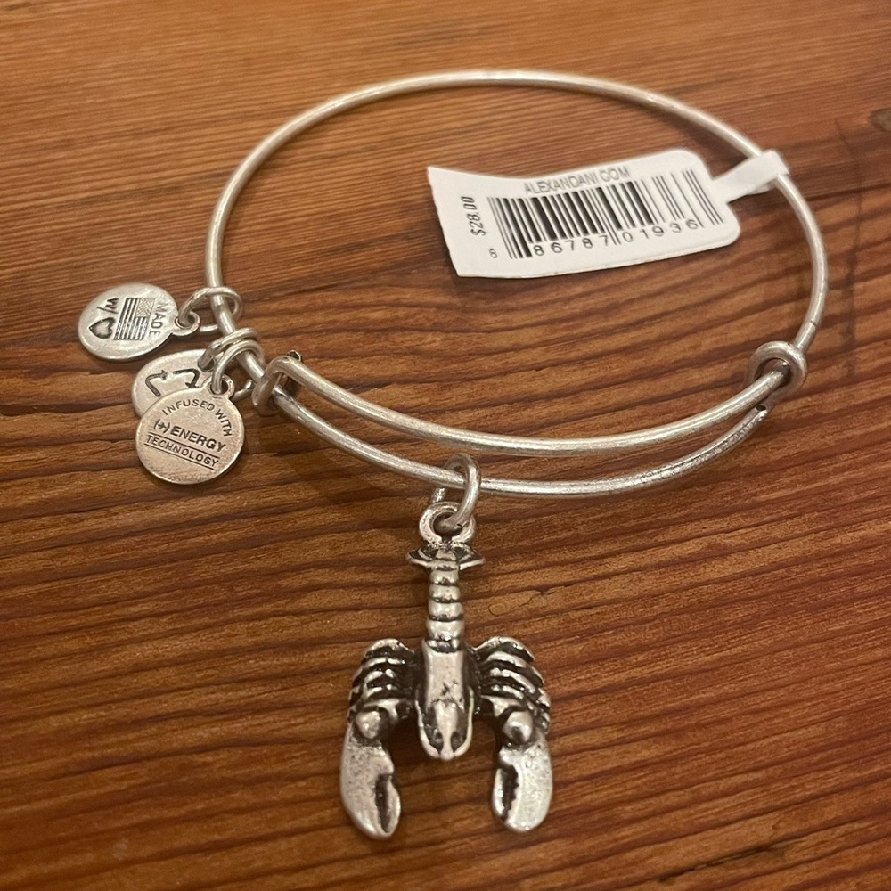Lobster Alex and Ani bracelet